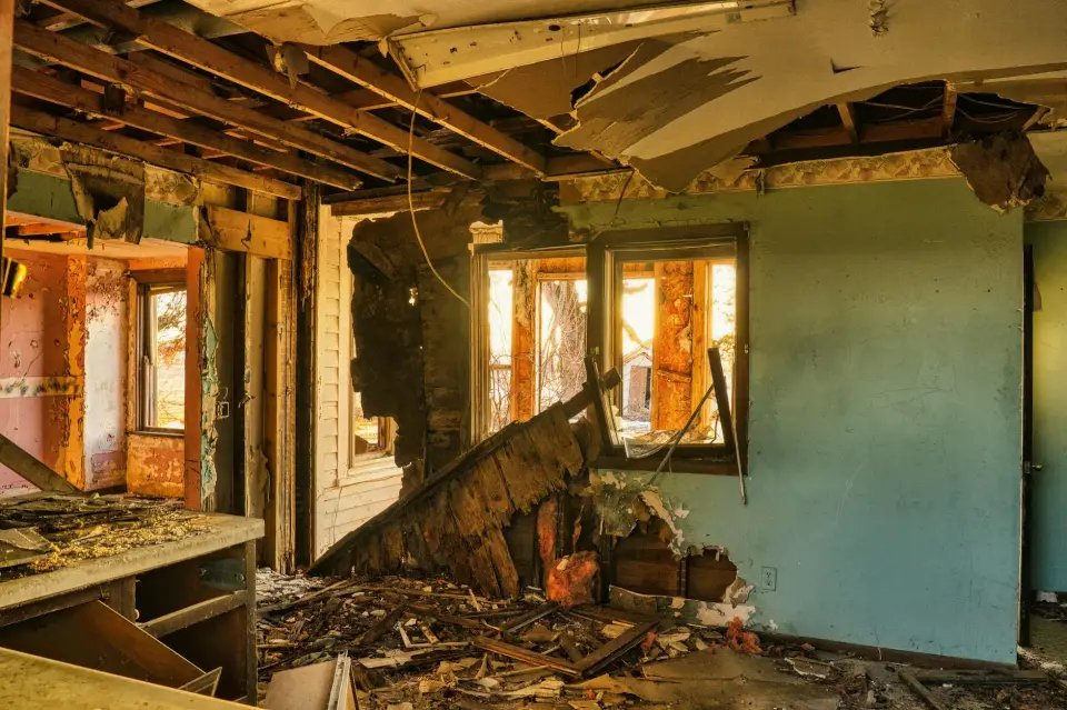 Visalia’s Certified Mold Removal & Restoration Experts — Visalia, CA